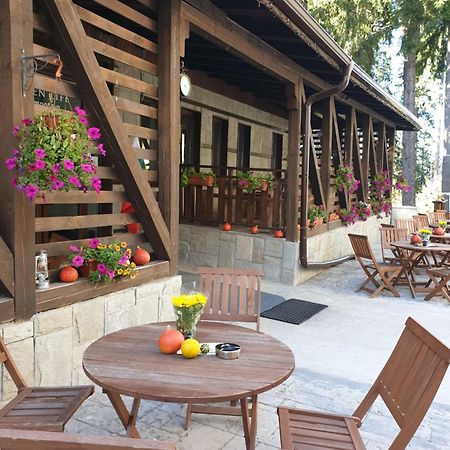 Green Life Family Apartments Pamporowo Zewnętrze zdjęcie