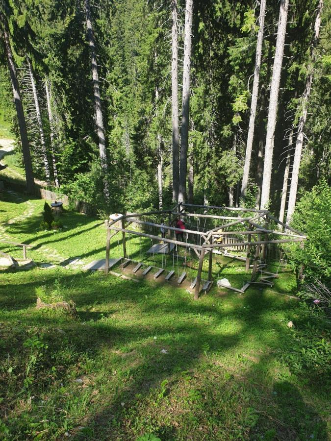 Green Life Family Apartments Pamporowo Zewnętrze zdjęcie