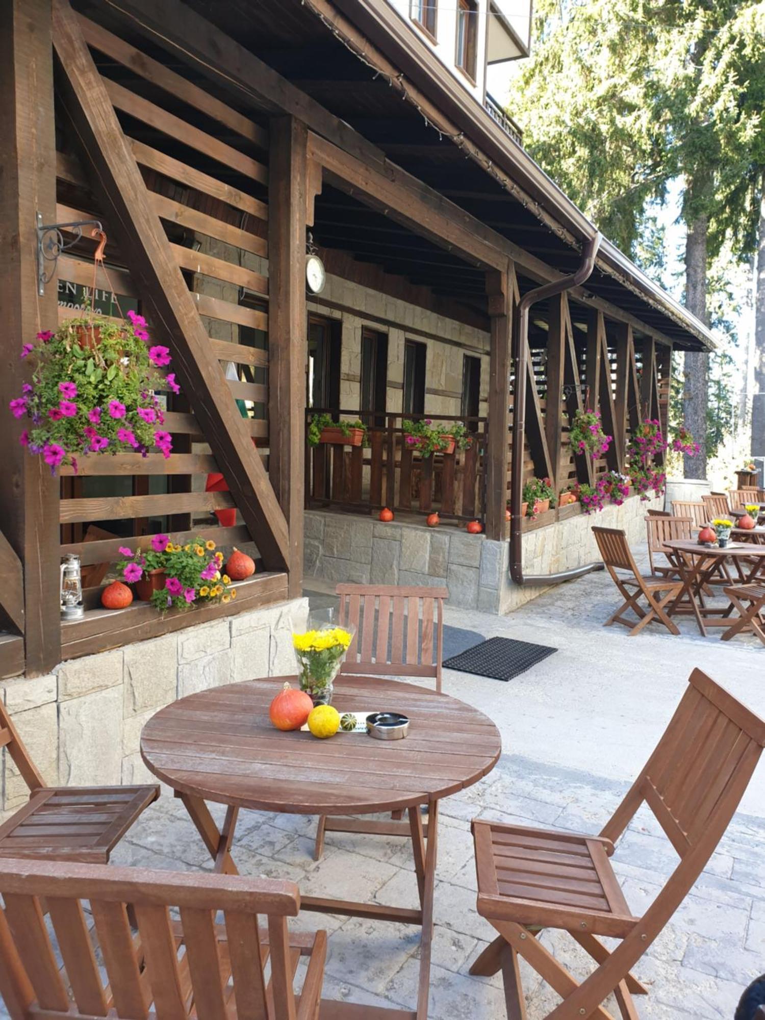 Green Life Family Apartments Pamporowo Zewnętrze zdjęcie