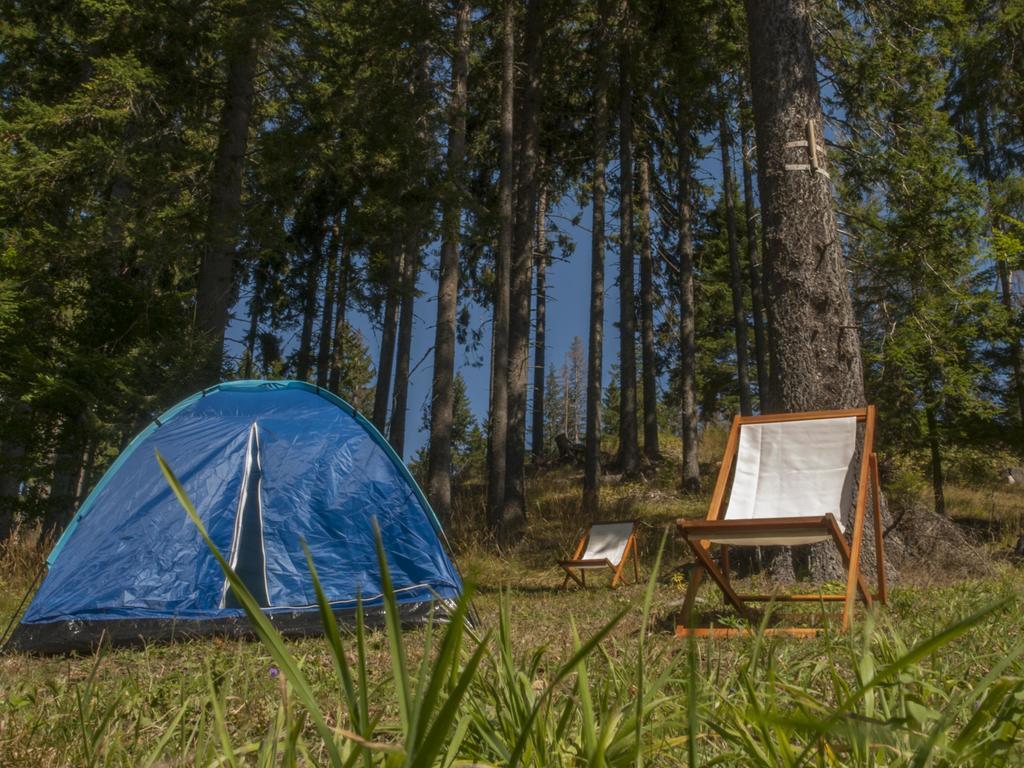 Green Life Family Apartments Pamporowo Zewnętrze zdjęcie